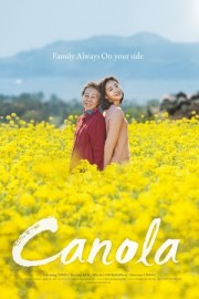 Hoa Cải Vàng-Canola 