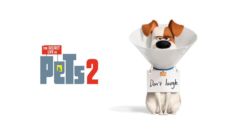 Đẳng Cấp Thú Cưng 2-The Secret Life of Pets 2