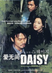 Hoa Cúc Dại-Daisy 