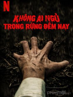 Không ai ngủ trong rừng đêm nay