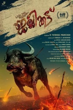 Lòng Tham-Jallikattu