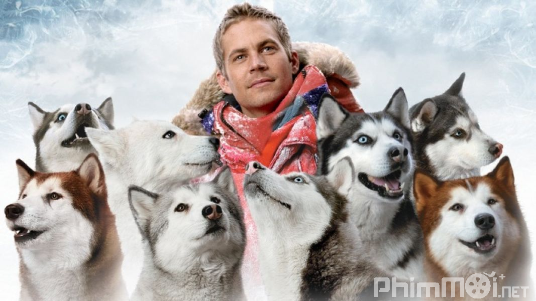 Âm Tám Độ-Eight Below