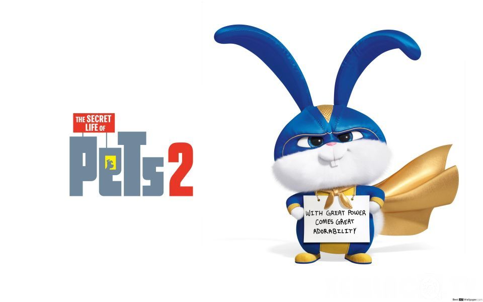 Đẳng Cấp Thú Cưng 2 - The Secret Life of Pets 2