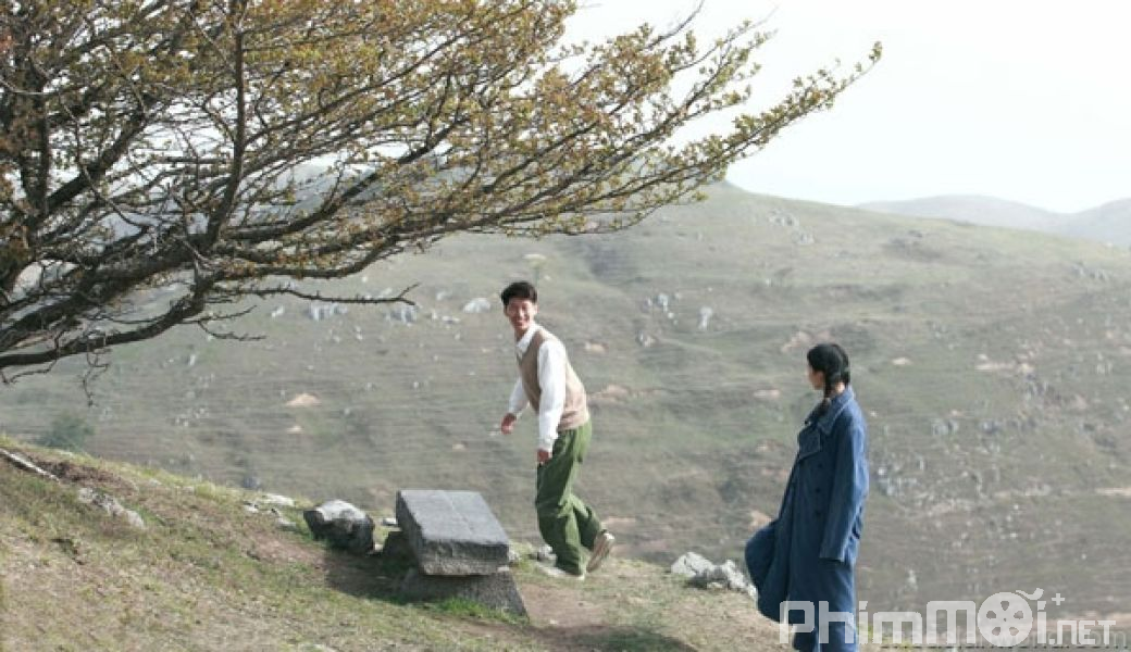 Chuyện Tình Cây Sơn Tra - Under The Hawthorn Tree